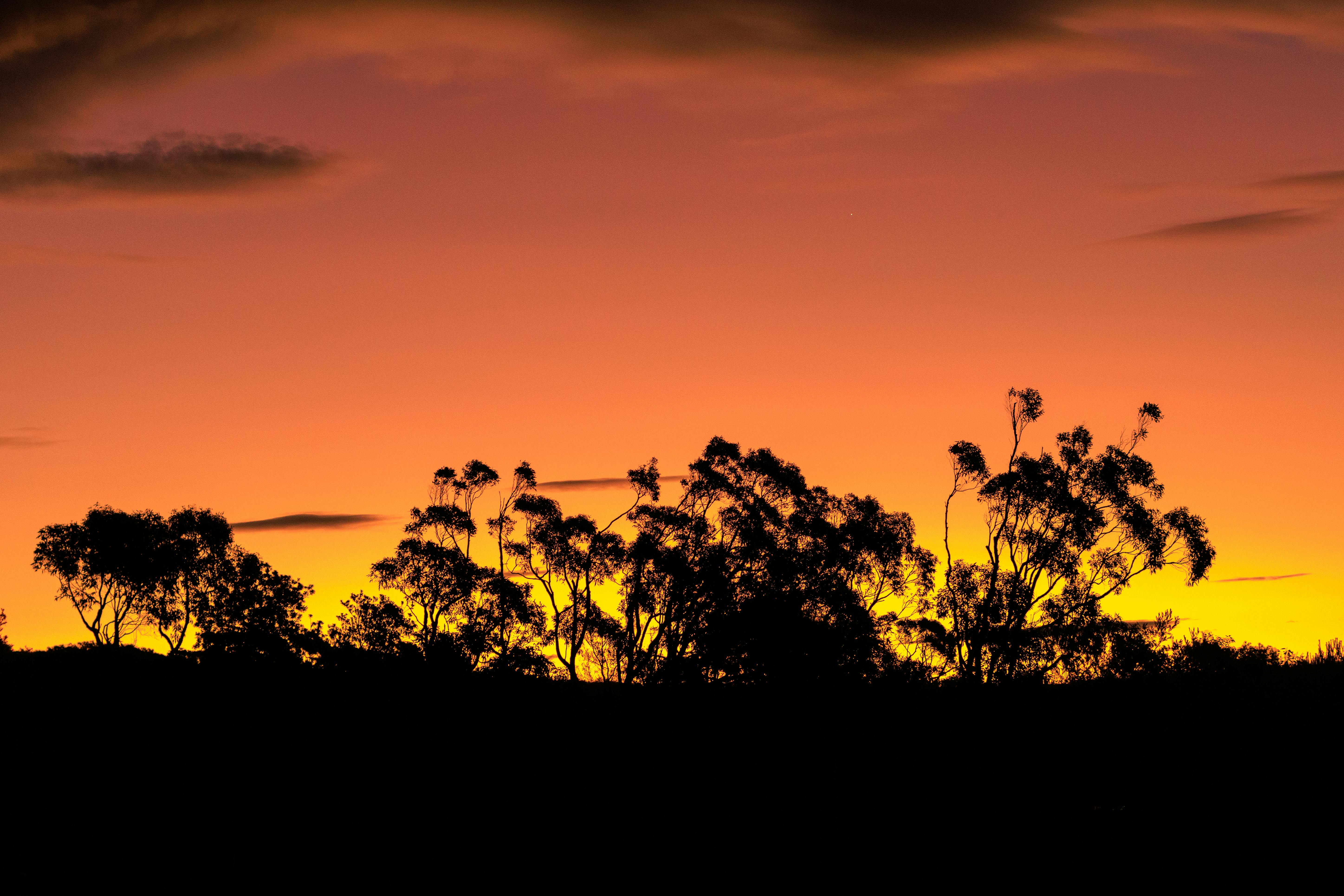 Relationships Australia NSW Showcases Family Dispute Resolution Services In New Campaign — Photo by Nicholas Whyte on Pexels