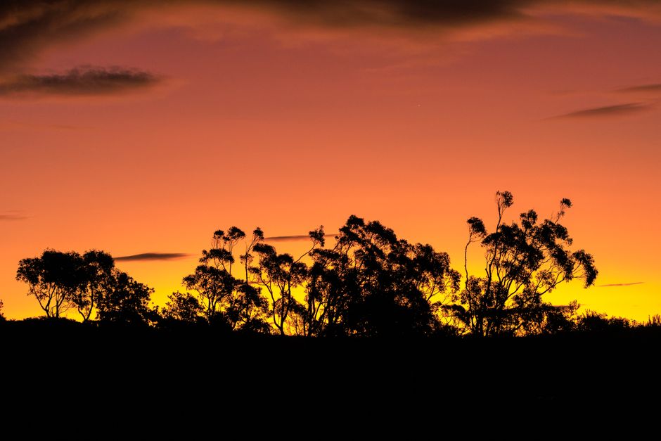 Otra foto de Litchfield National Park