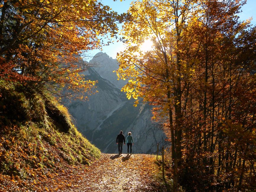 A couple hiking a trail surrounded by colorful autumn leaves in the Austrian Alps under a bright sun.
