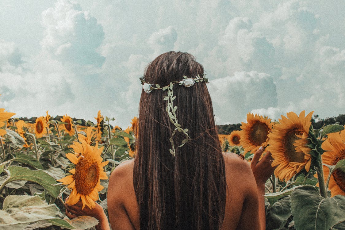 Free Woman Standing On Sunflower Field Stock Photo