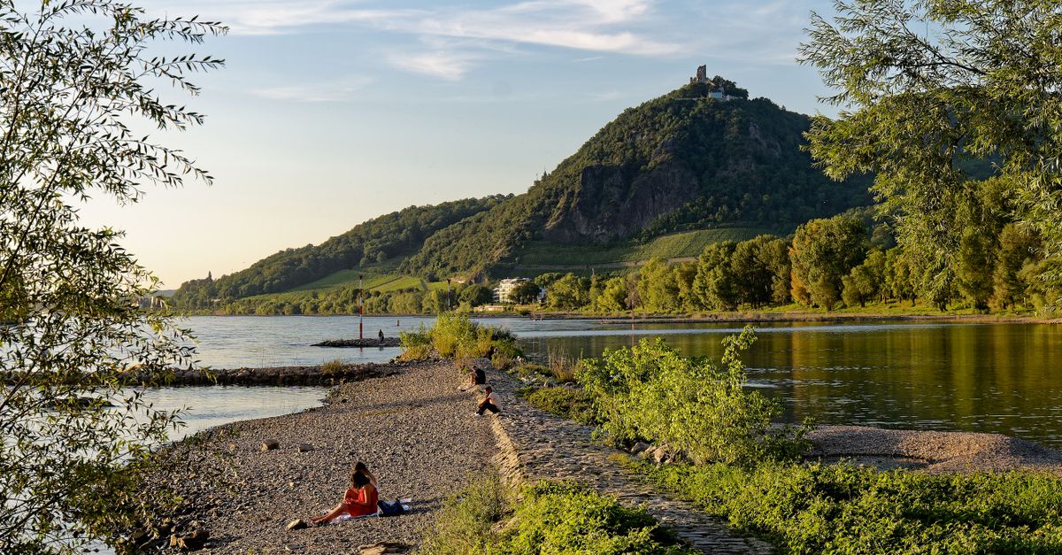 rhine