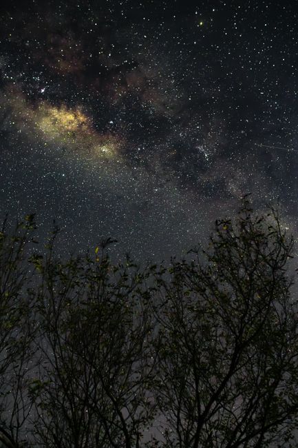 Capturing the Cosmos: Tips for Astrophotography Capturing the Cosmos: Tips for Astrophotography