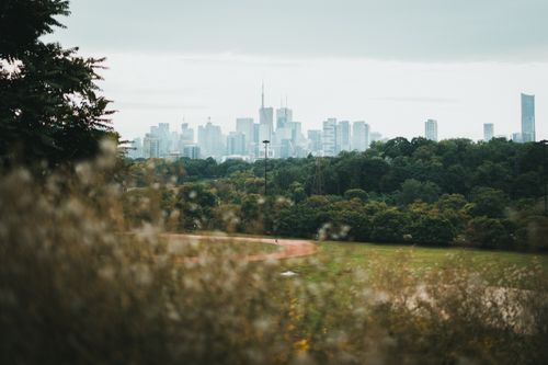 Free Scenic view of Toronto skyline with foreground greenery, showcasing urban and natural blend. Stock Photo