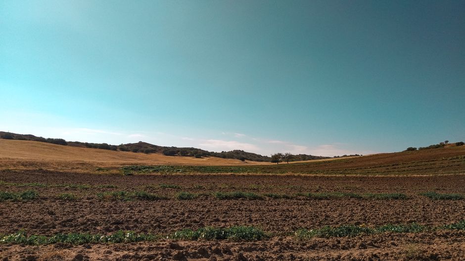 A vibrant view of Büyükceceli farmland, showcasing plowed fields and gentle hills on a clear day.