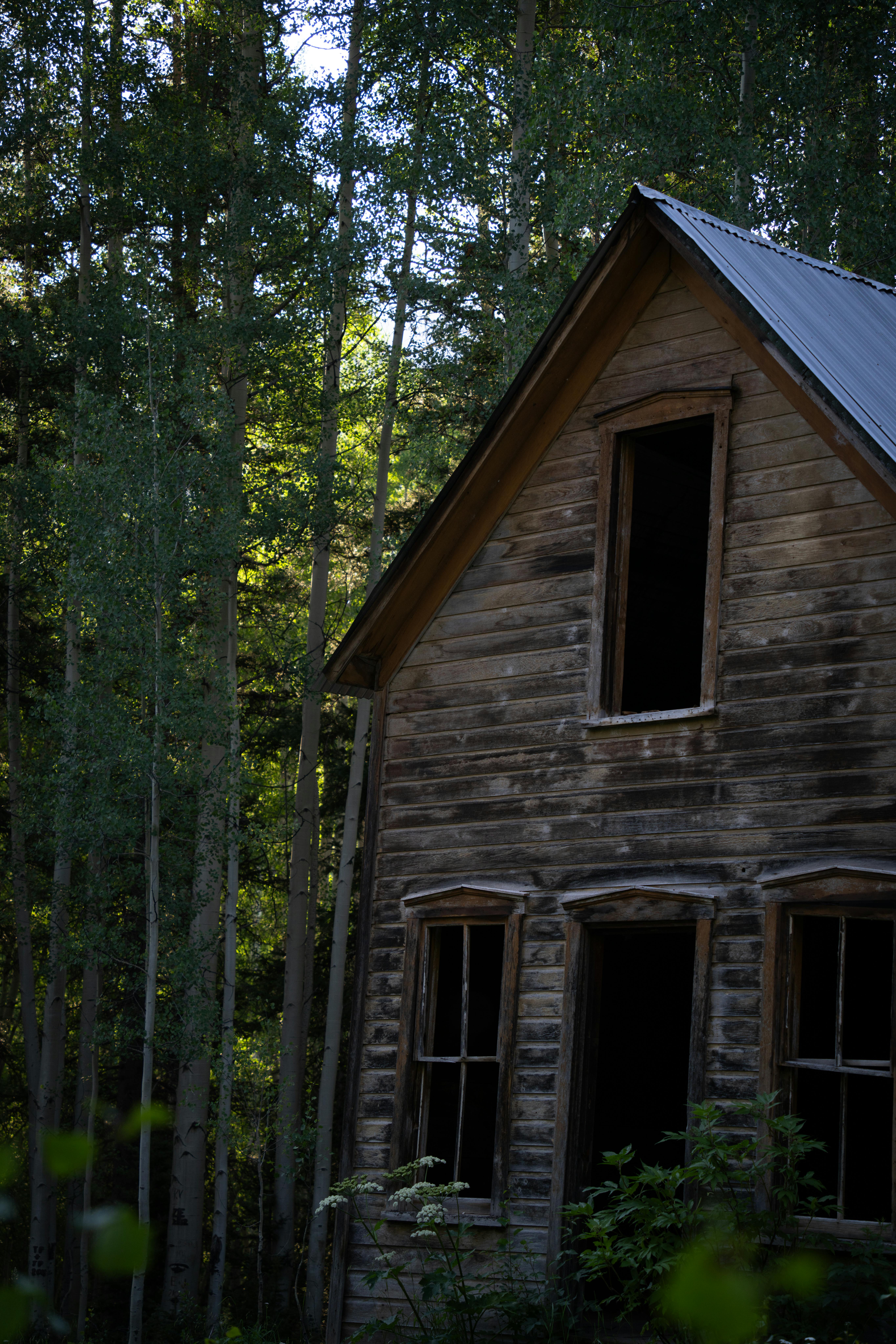 中秋彩券加碼4.5億！大樂透百組百萬元來襲🎉
