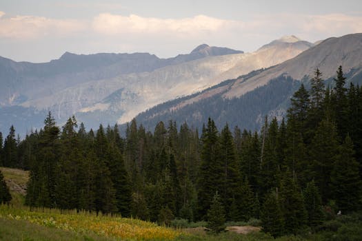 Breathtaking view of the San Juan Mountains with autumn foliage and evergreen trees.