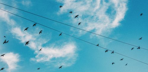 Free A peaceful scene of birds flying in the clear blue sky over Ho Chi Minh City, Vietnam. Stock Photo