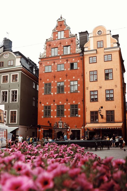 Free Charming historic buildings in Stockholm's Old Town with vibrant flowers in foreground. Stock Photo