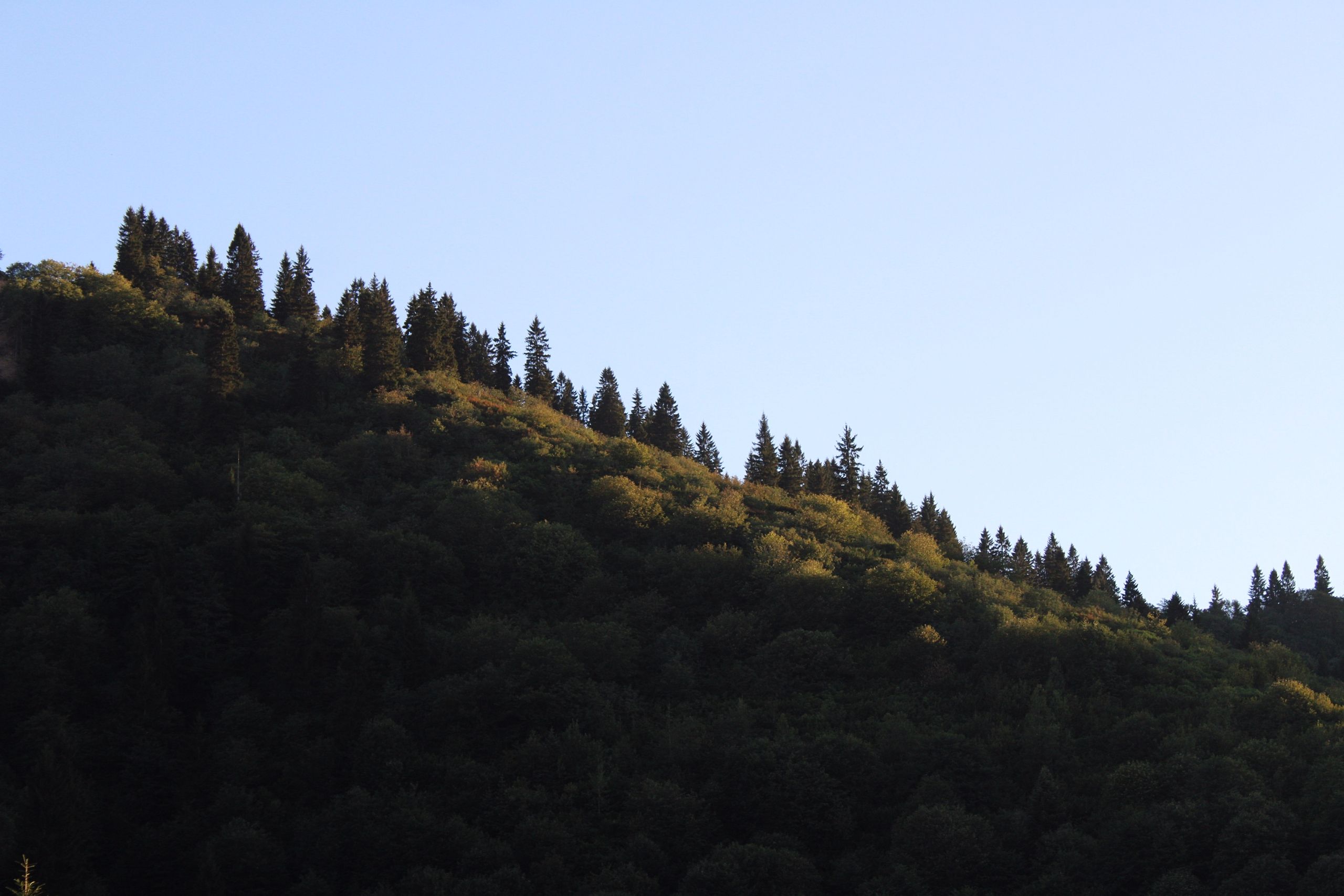 A mountain with trees on it and a blue sky · Free Stock Photo