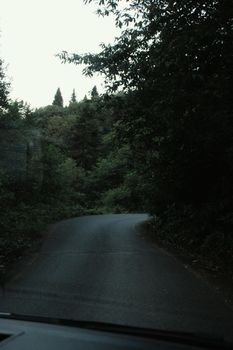 A tranquil forest road curving through lush green trees, inviting exploration.