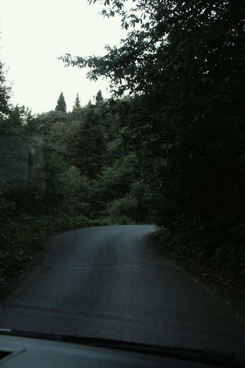 Free A tranquil forest road curving through lush green trees, inviting exploration. Stock Photo
