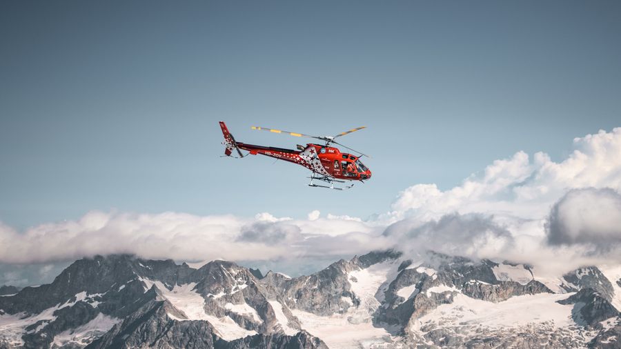 Bear Country at Altitude: What Actually Keeps You Safe