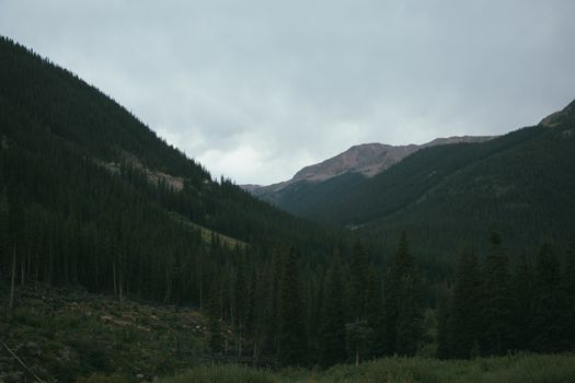 Peaceful mountain valley with a dense conifer forest under an overcast sky, perfect for nature enthusiasts.