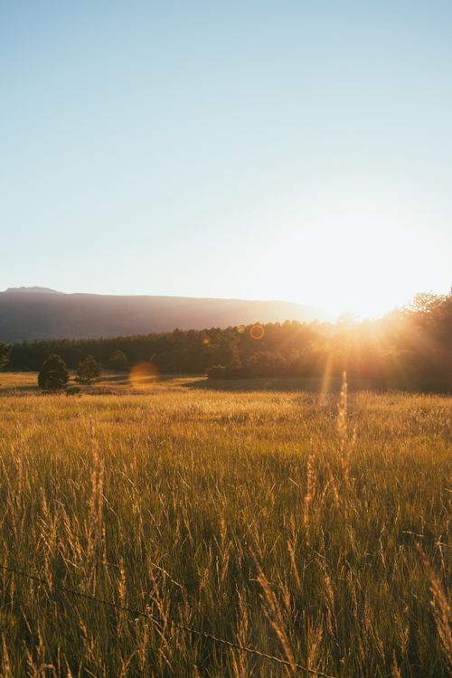 Free Gorgeous autumn landscape with golden sunset over a rural field, capturing the tranquility of nature. Stock Photo