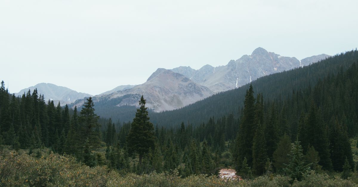 Scenic view of mountains and dense conifer forest under a cloudy sky, perfect for nature lovers.
