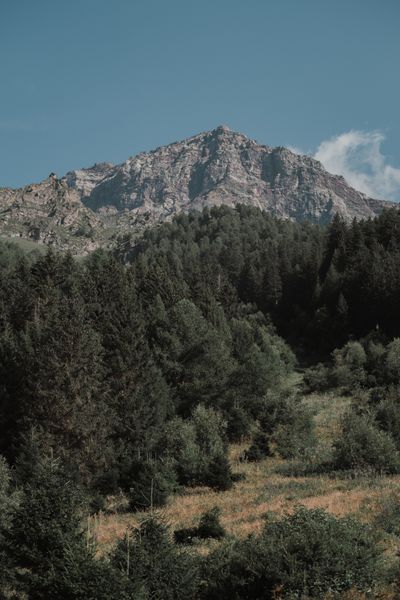 Rugged mountain above an evergreen slope — photo by Lorenzo Messina on Pexels