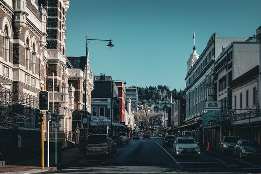 dunedin city