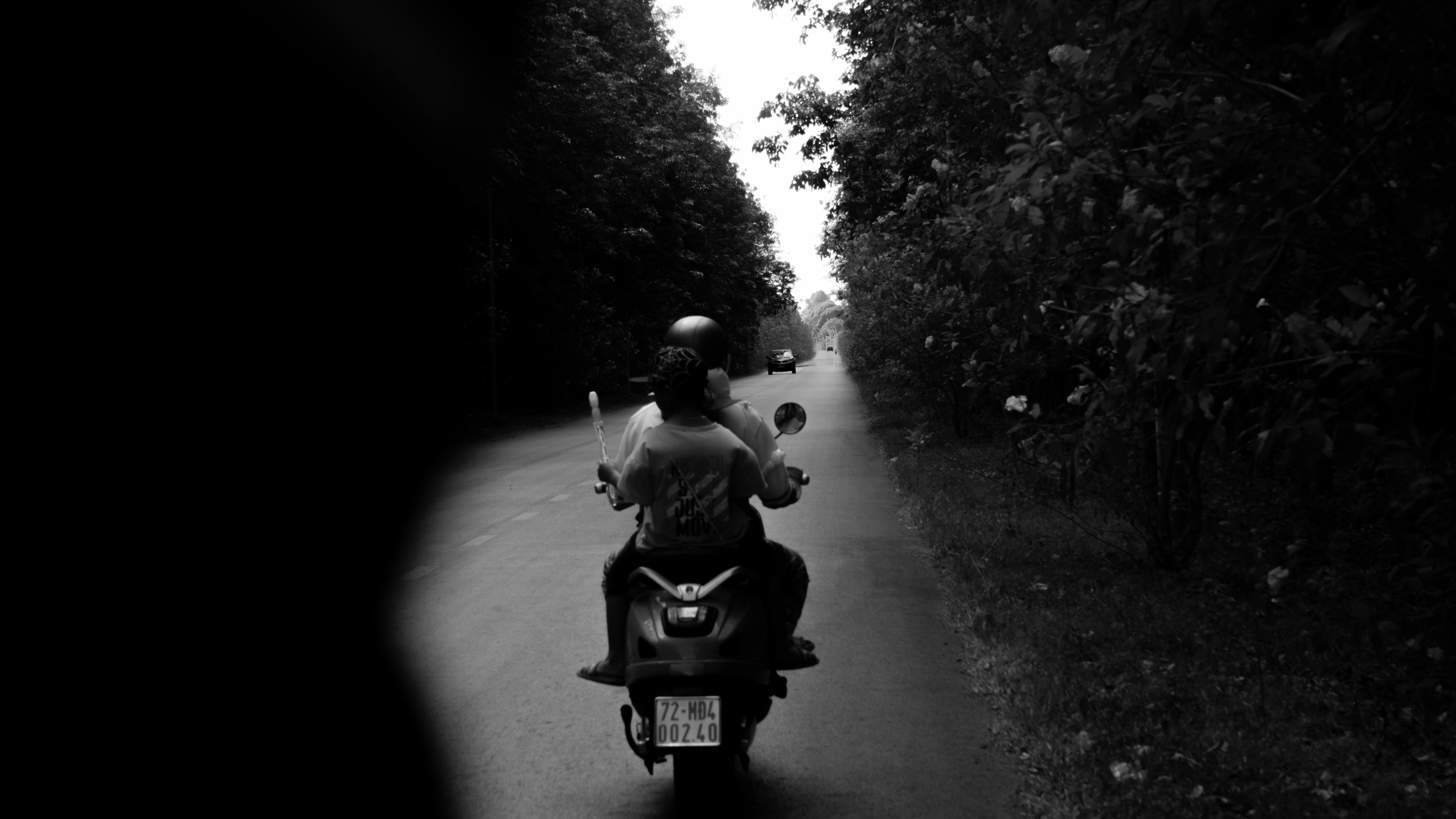 A backlit scene of two people on a scooter riding down a tree-lined road.