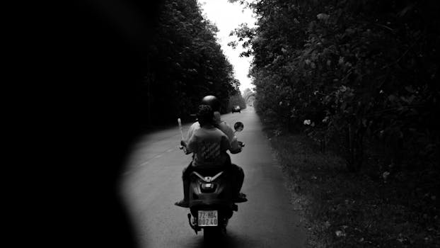 A backlit scene of two people on a scooter riding down a tree-lined road.