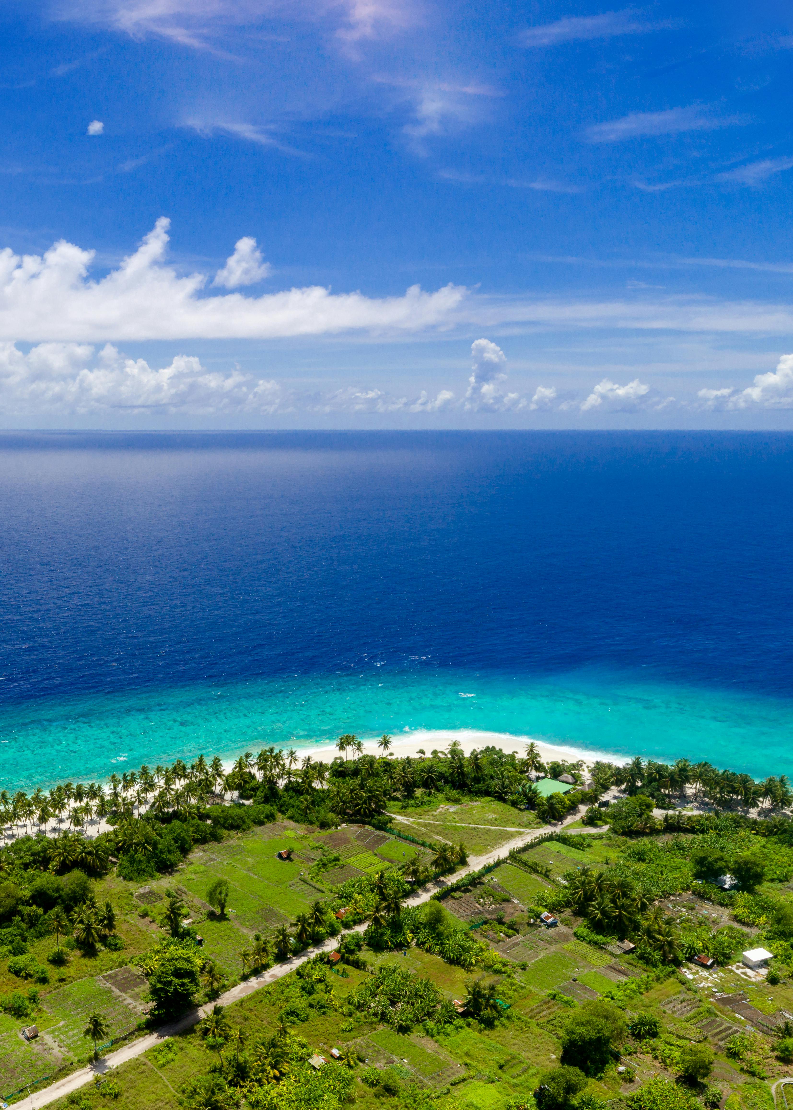 从空中俯瞰马尔代夫的海岸线，碧绿的海水、椰子树和郁郁葱葱的植被令人惊叹