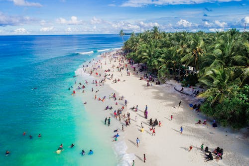 Aerial Photo of People on Seashore