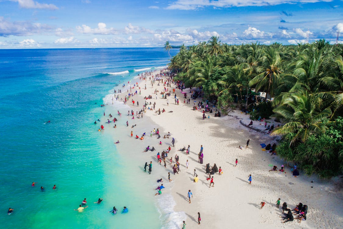 pulau komodo