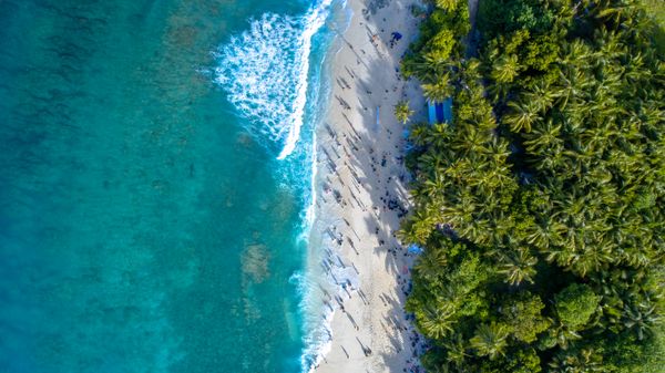 Neil Beaches & Natural Coral Bridge