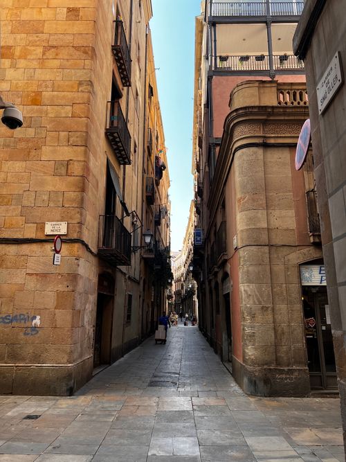 Free Explore the Gothic architecture of a narrow alley in Barcelona's historic city center. Stock Photo