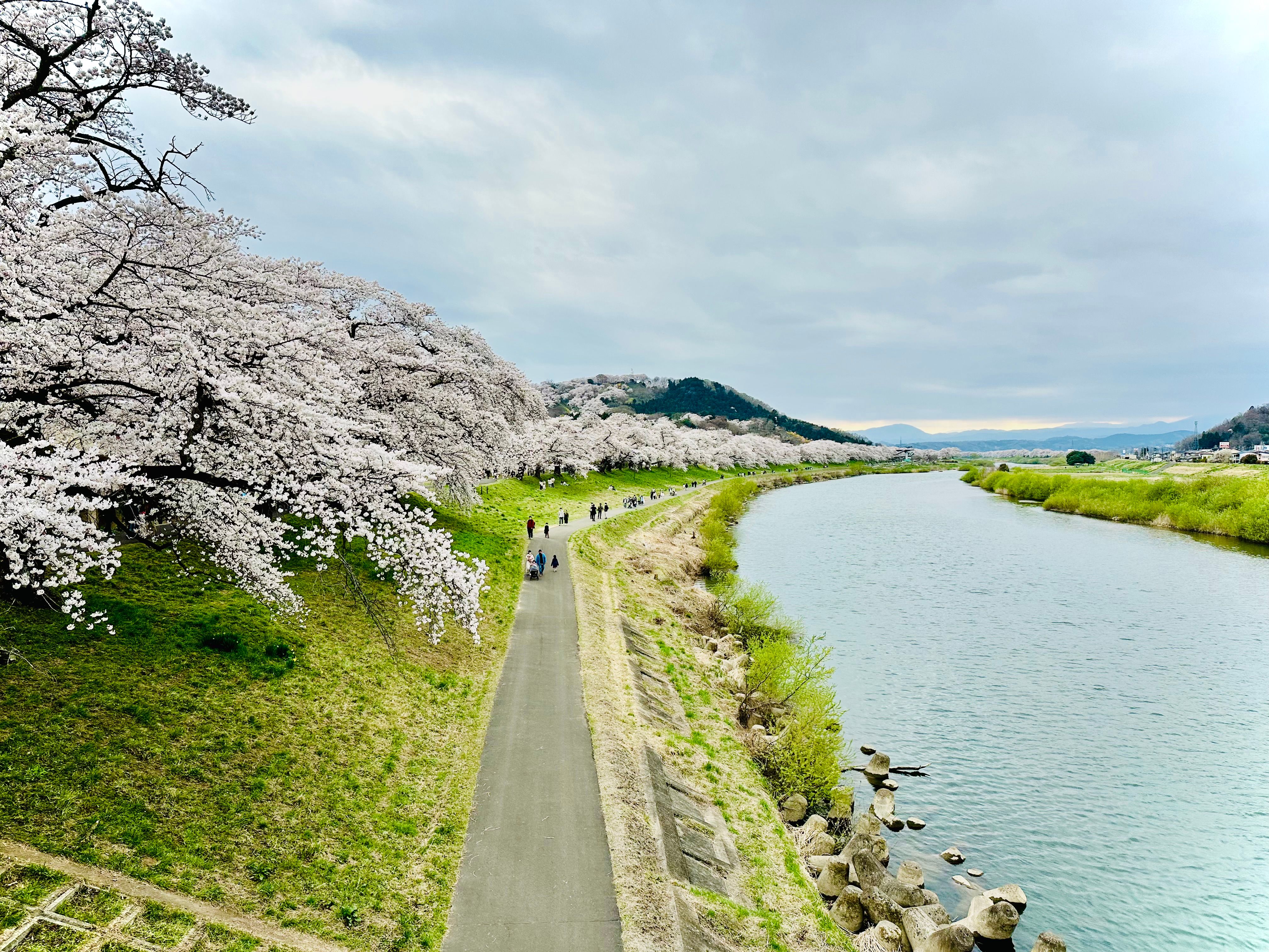travel image