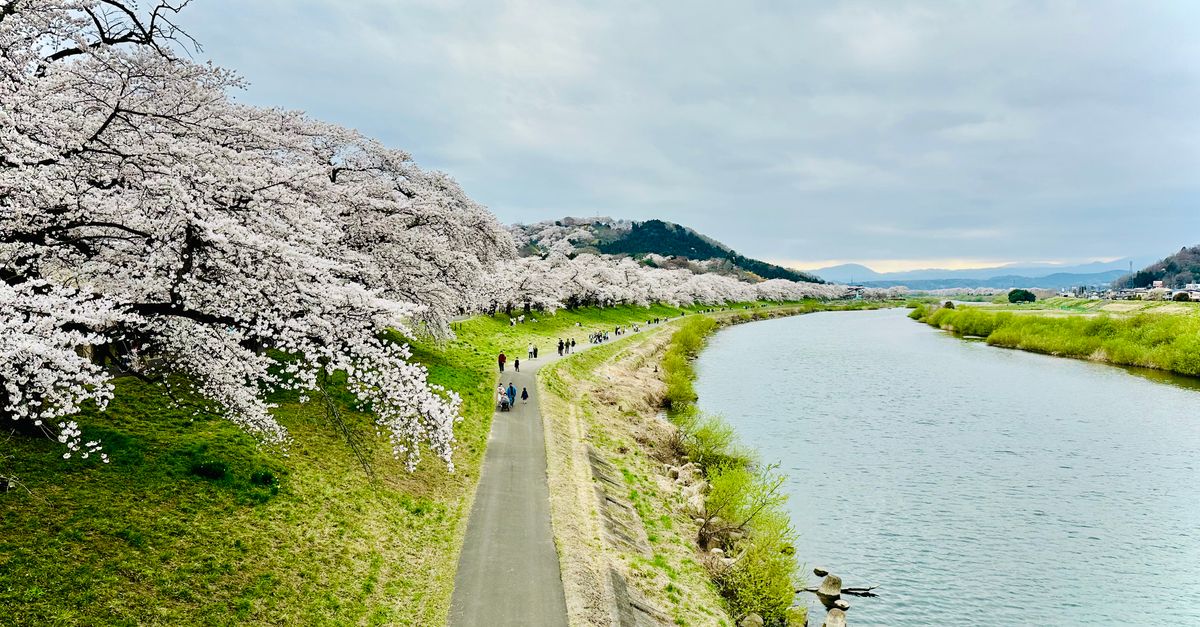 宮城県观光地攻略:安全游玩及活动安排 宮城県观光地攻略:安全游玩及活动安排