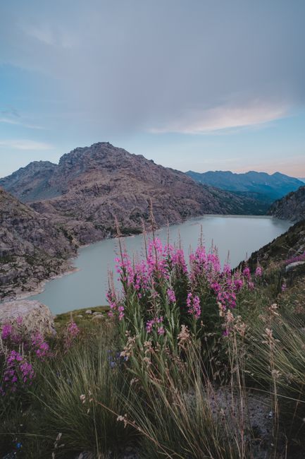 Beautiful alpine landscape featuring a serene lake surrounded by mountains and vibrant wildflowers at sunrise.