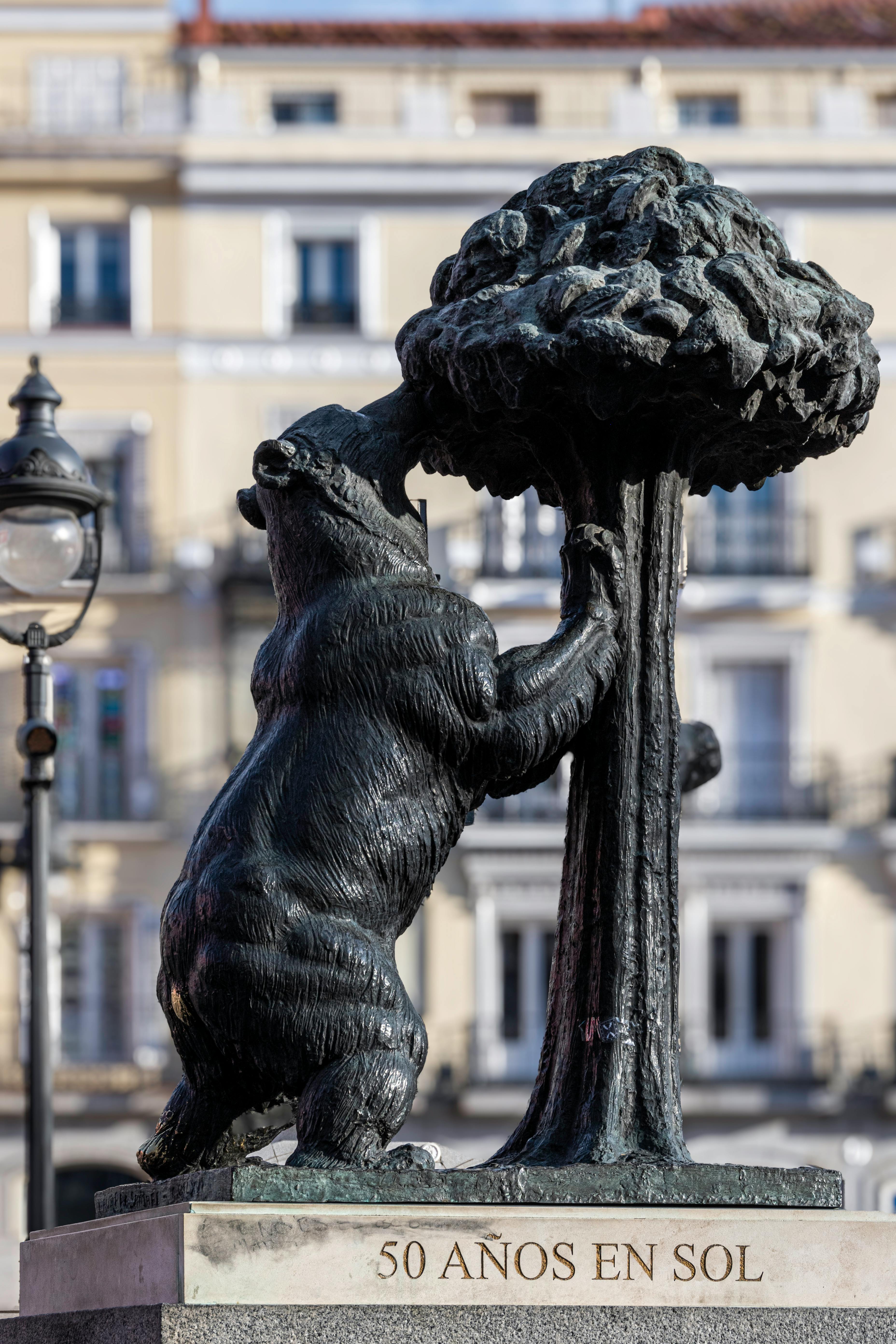 estatuta del oso y el madrono