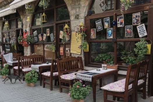 Quaint café setting with wooden furniture, vibrant plants, and decorative posters.