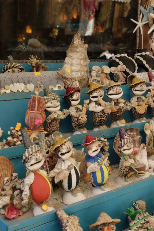 A display of sea shells and other items on a shelf · Free Stock Photo