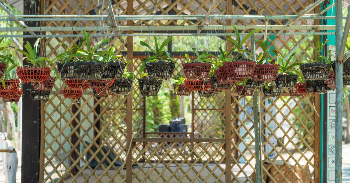 10 idées créatives pour aménager un jardin de balcon