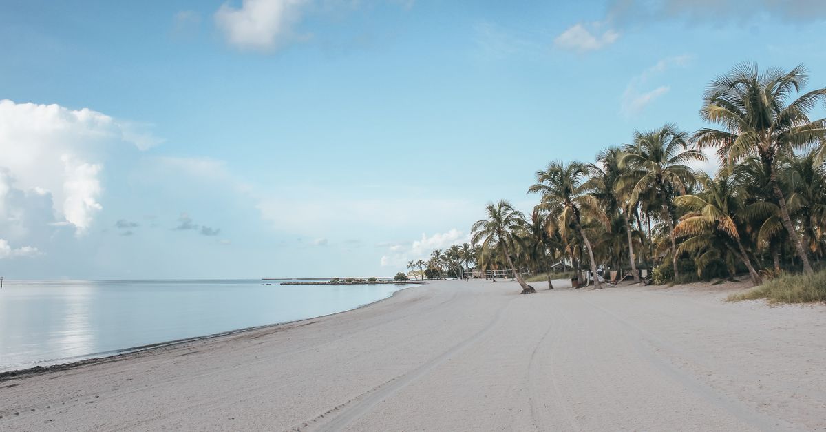 Peaceful white sandy beach with palm trees in Key West under a clear blue sky.