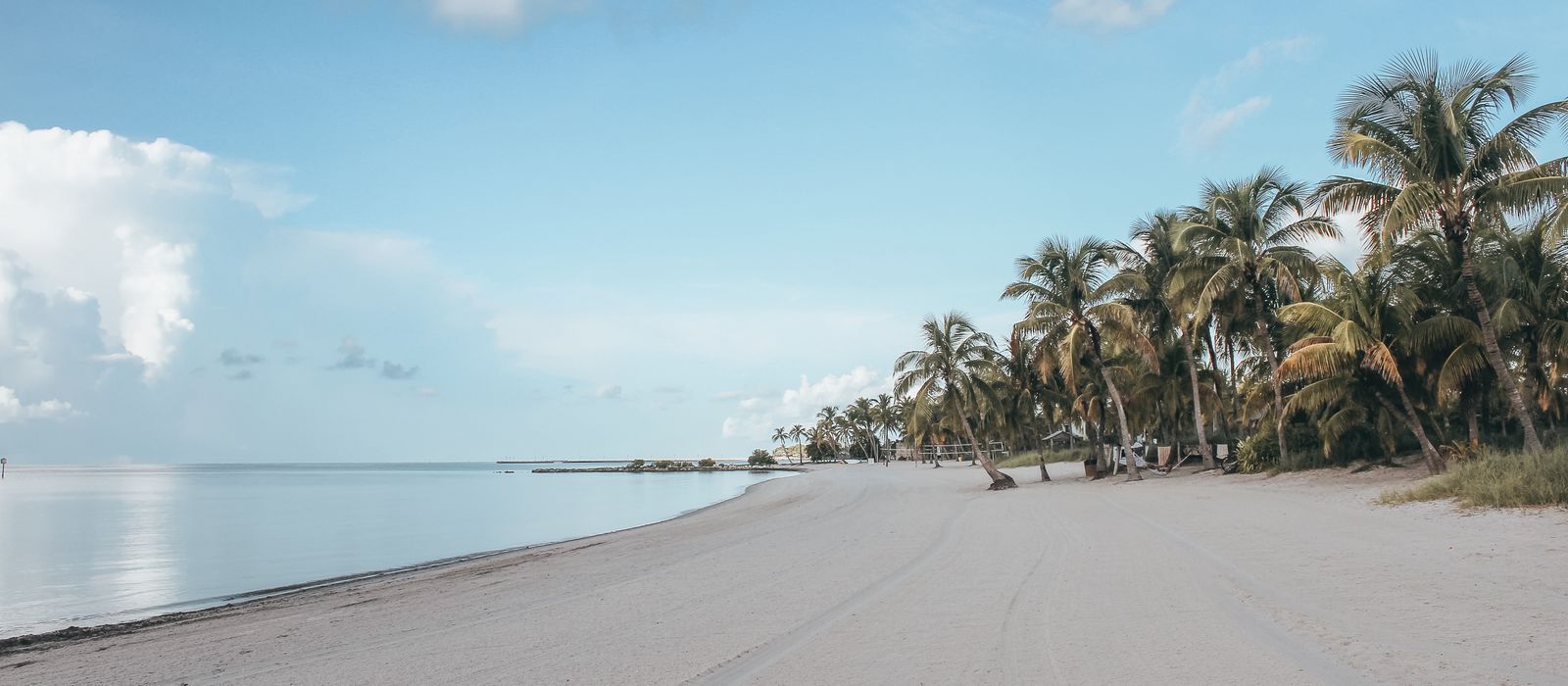 Peaceful white sandy beach with palm trees in Key West under a clear blue sky.