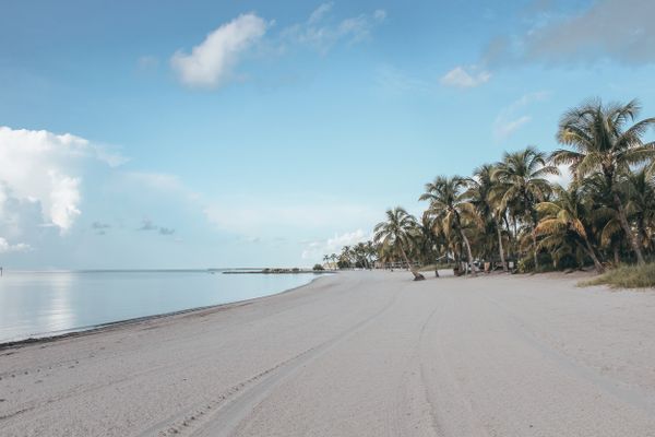 Palm-lined sandy beach in Key West, Florida