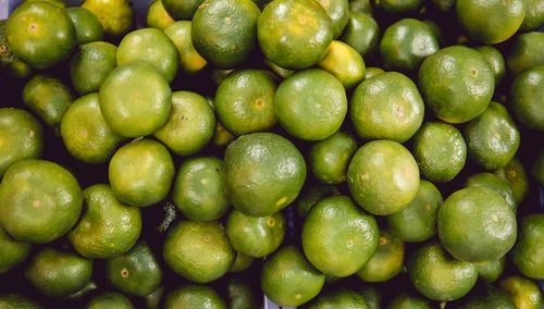 Free A vibrant collection of fresh green citrus fruits displayed at a market in Manila, Philippines. Stock Photo