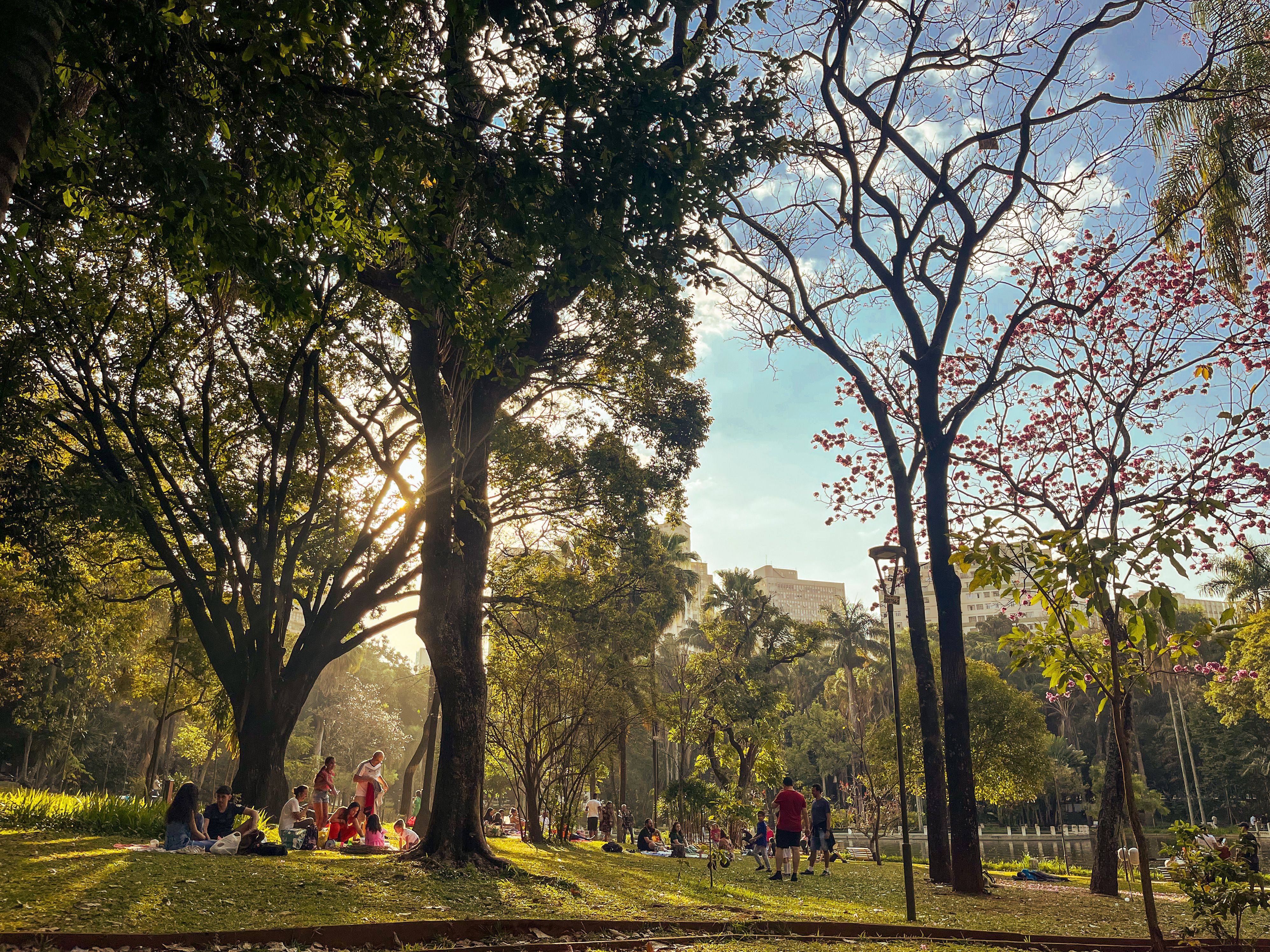 Parque Municipal Domingo Faustino Sarmiento