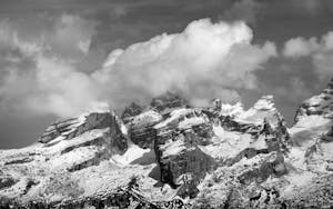 Big Black Big Booty Photos, Download The BEST Free Big Black Big Booty