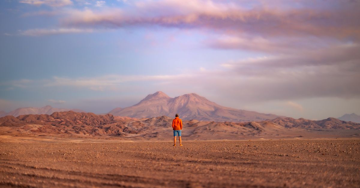Los 8 desiertos y ambientes extremos que desafían la esterilidad natural con vida Los 8 desiertos y ambientes extremos que desafían la esterilidad natural con vida