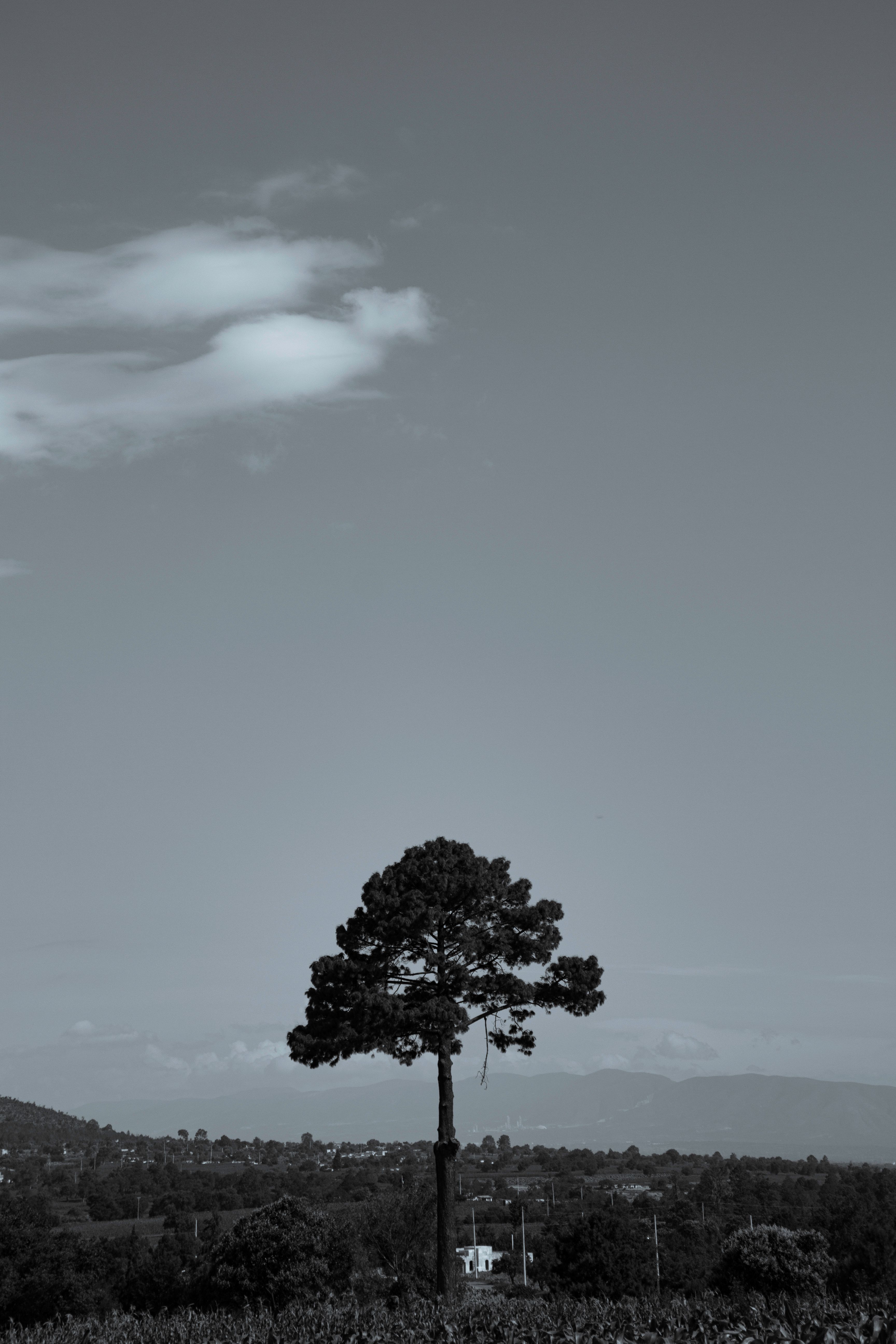 Fotomural Fotolia