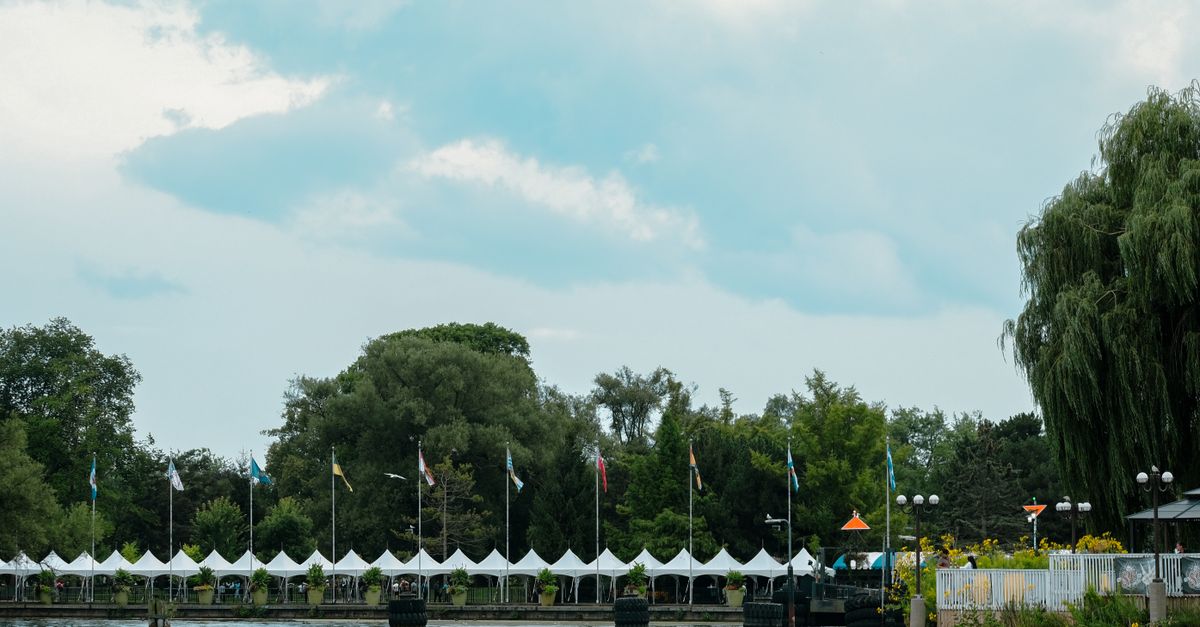 toronto international film festival