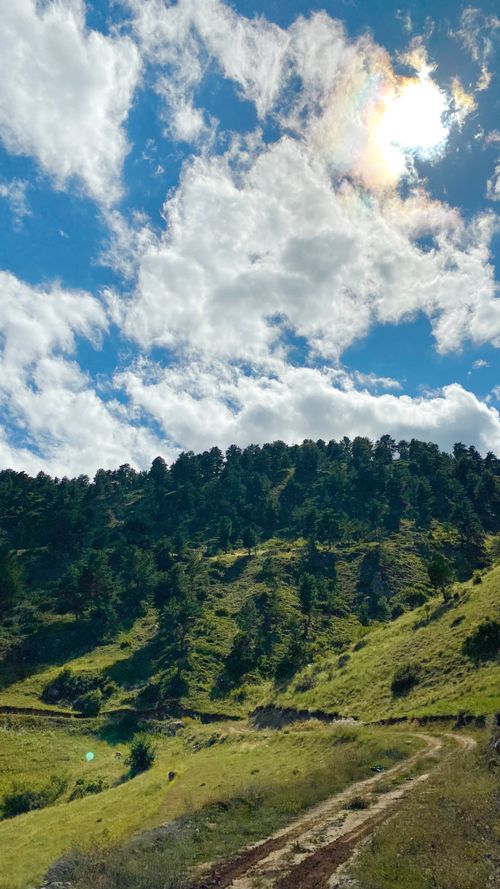 Free Explore the vibrant summer landscape of Erzurum, Türkiye, with lush hills and clear skies. Stock Photo