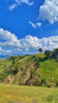 Image by Aygül Öneş