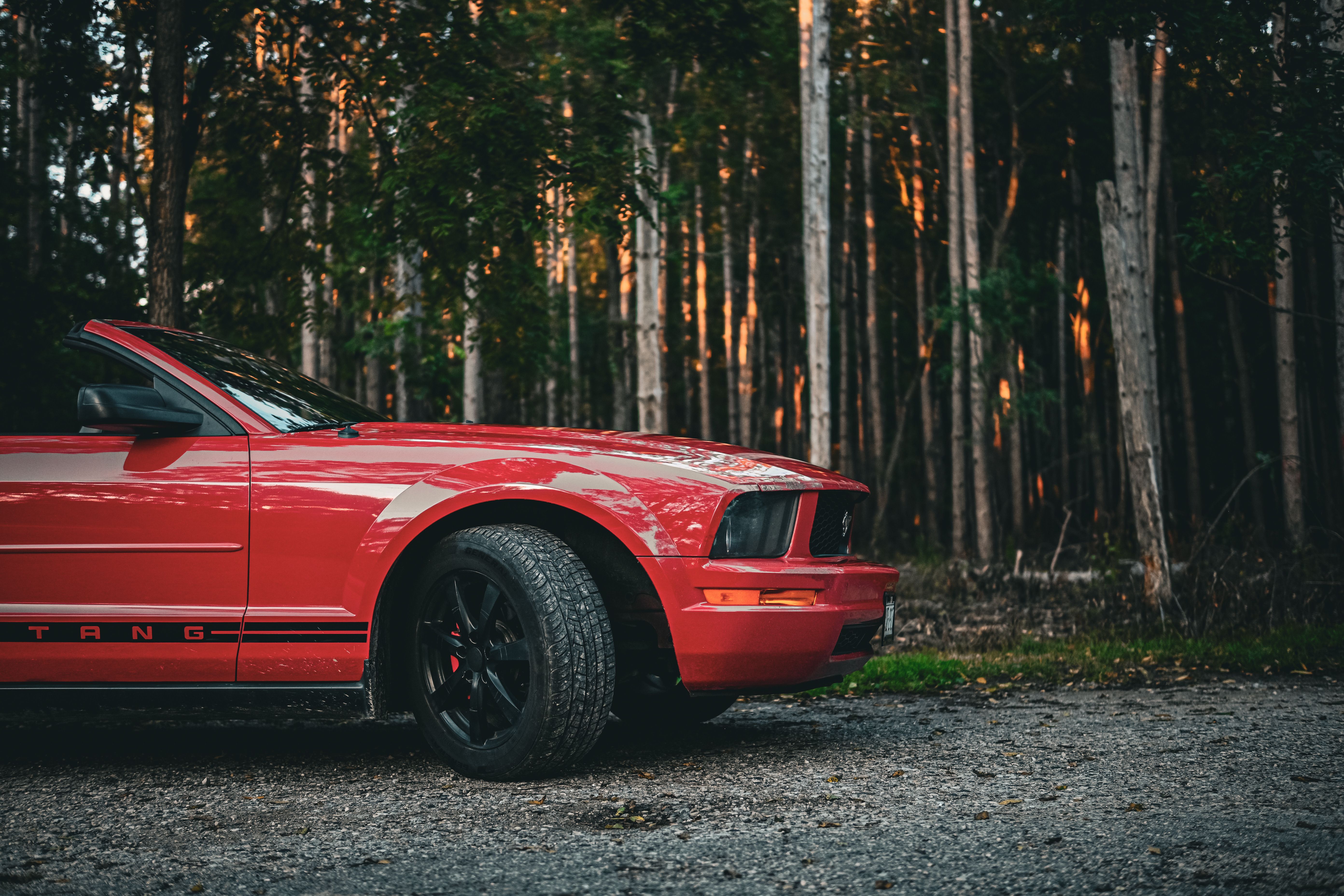 Red Mustang vehicle parked near a forest at twilight, showcasing power and elegance.