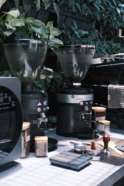 Free Coffee grinders and equipment set up in a stylish cafe environment with lush greenery. Stock Photo