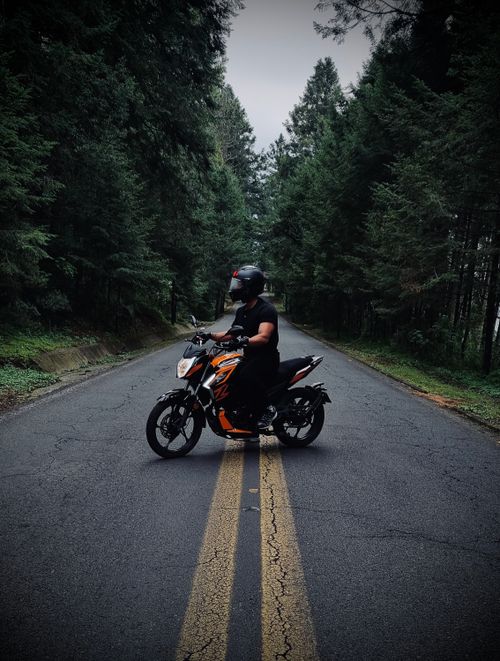 Free Motorcyclist wearing a helmet rides through a serene forest road. Stock Photo