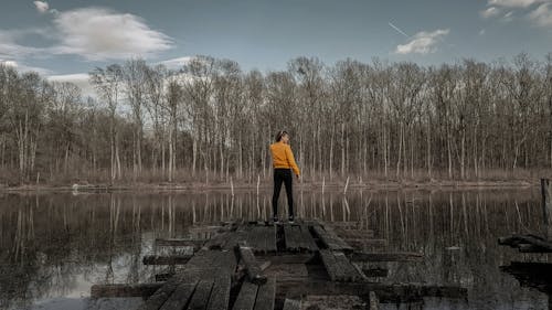 Free stock photo of girl, lakes, natural beauty